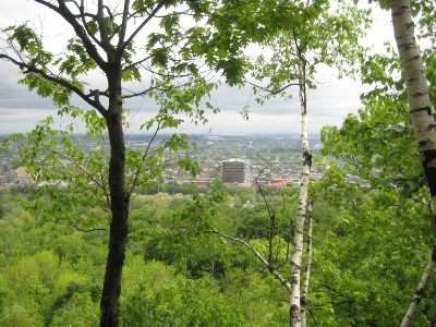 montroyal