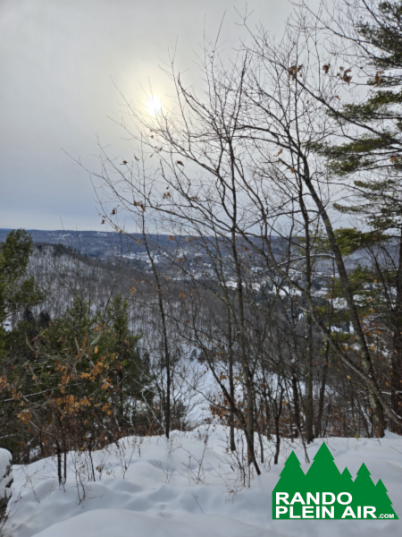 rserve alfred kelly avec logo