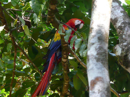 accueilcostarica 2