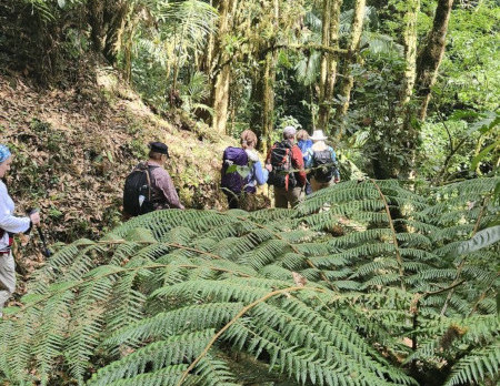 accueilcostarica