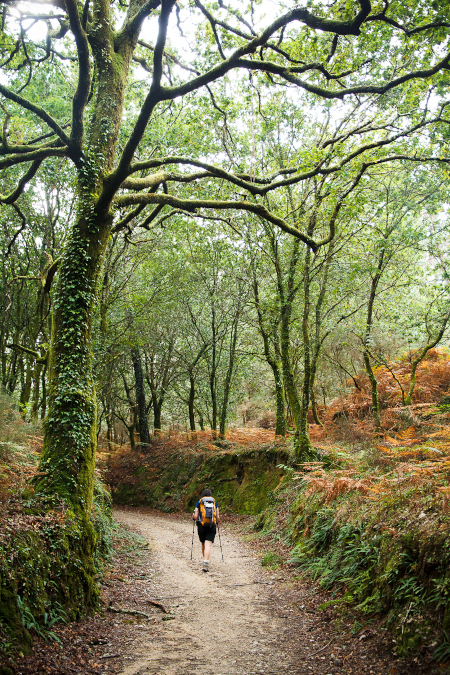 compostelle2027